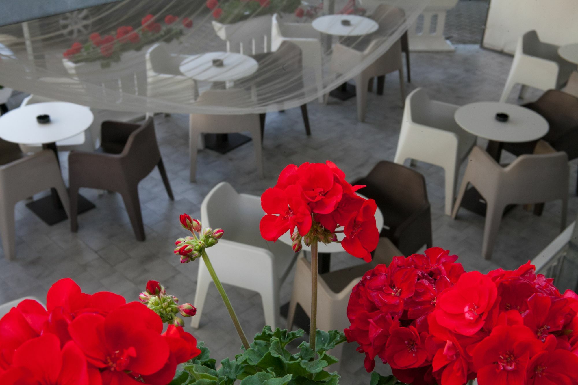Hotel Umberto Τζεσόλο Λίντο Εξωτερικό φωτογραφία