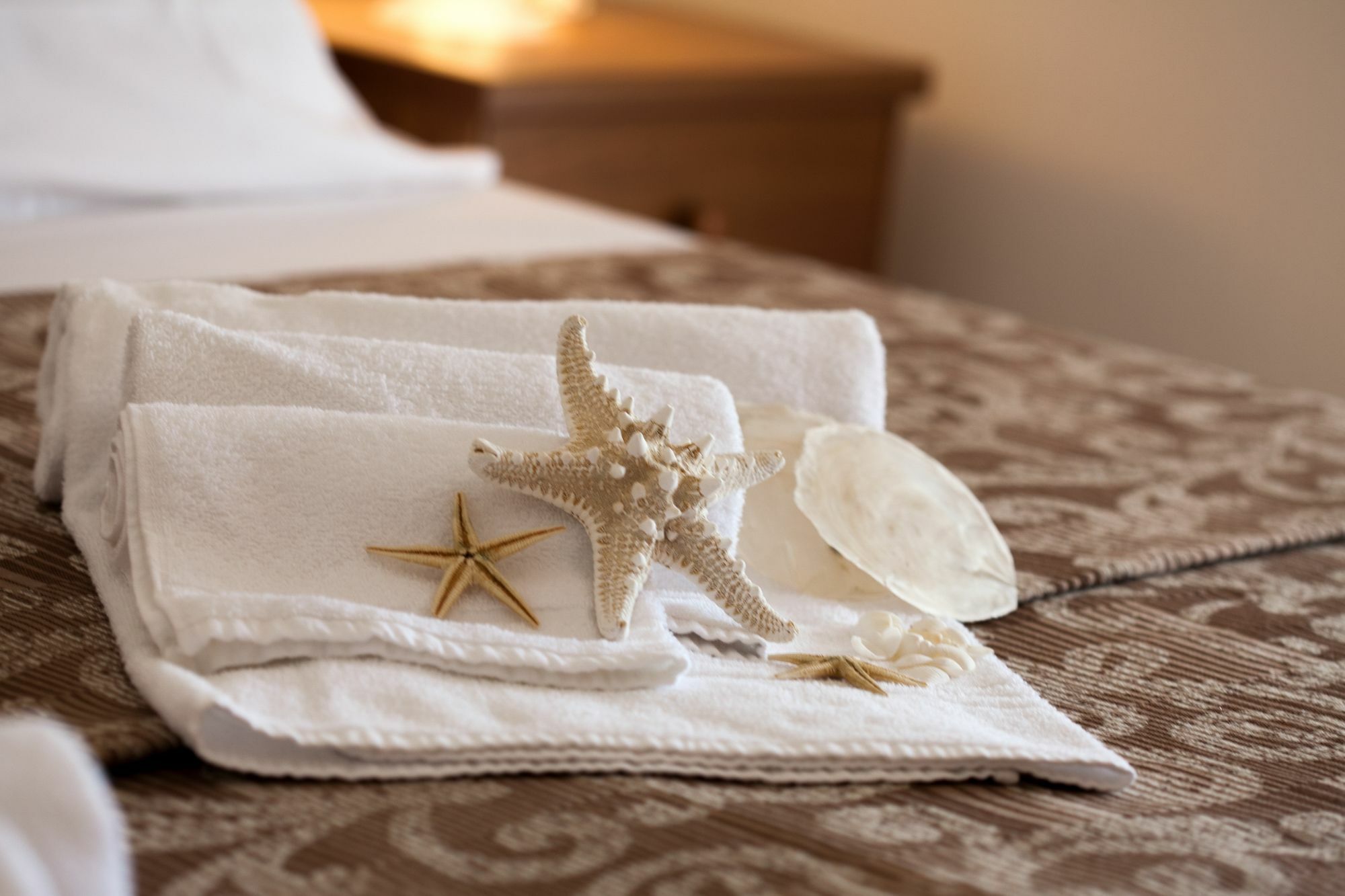 Hotel Umberto Τζεσόλο Λίντο Εξωτερικό φωτογραφία